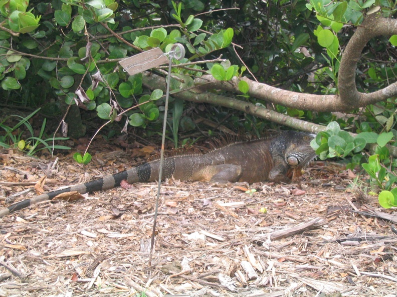 Florida2006 082